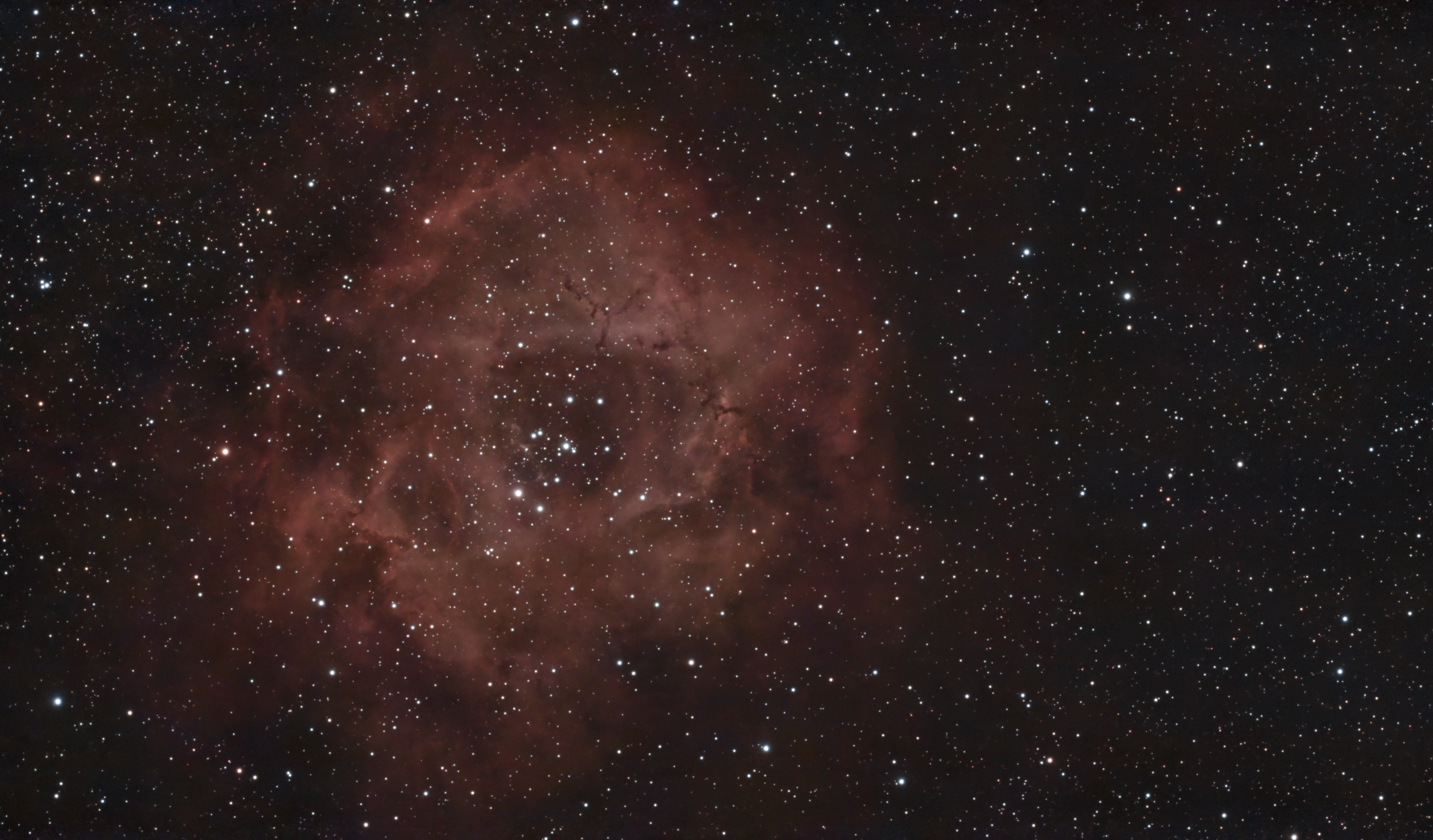 Rosette Nebula